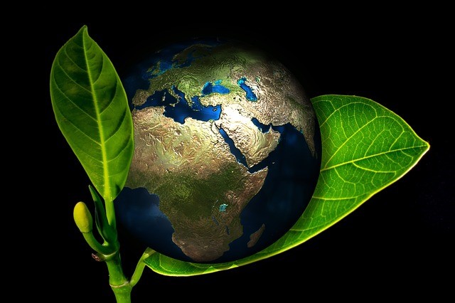 Five Ways to Make Your Business More Eco-Friendly